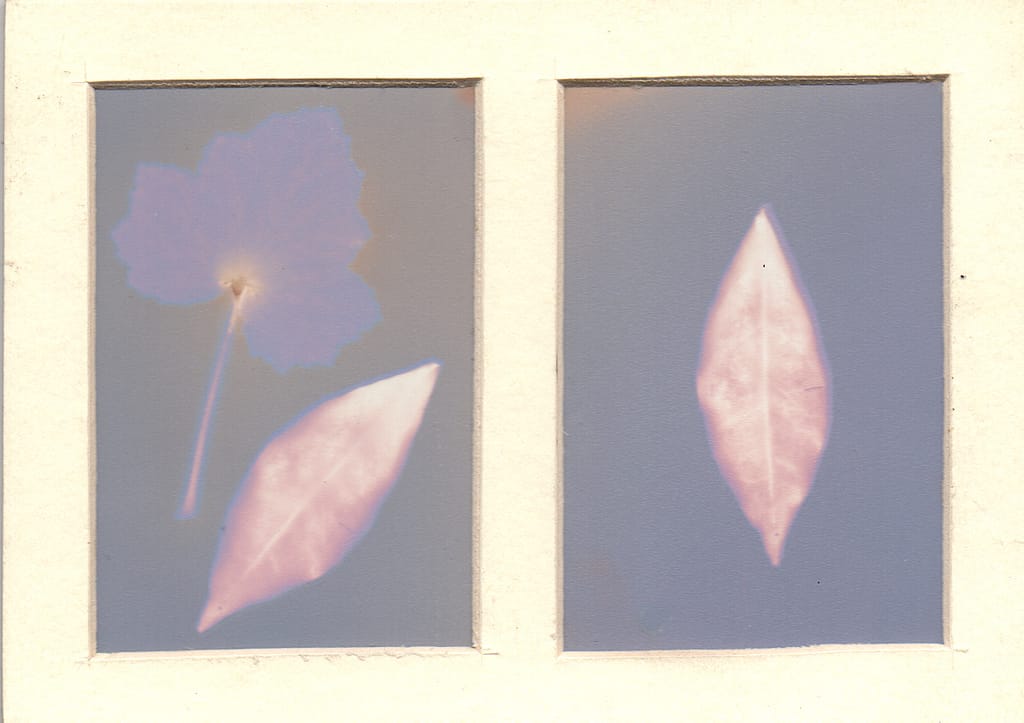 Impresión Lumen virada