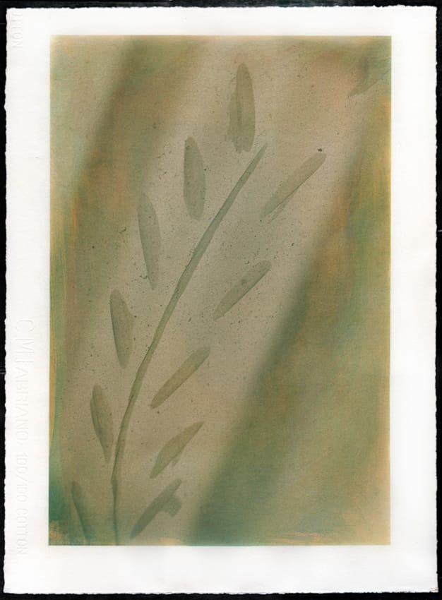 Goma bicromatada policromía