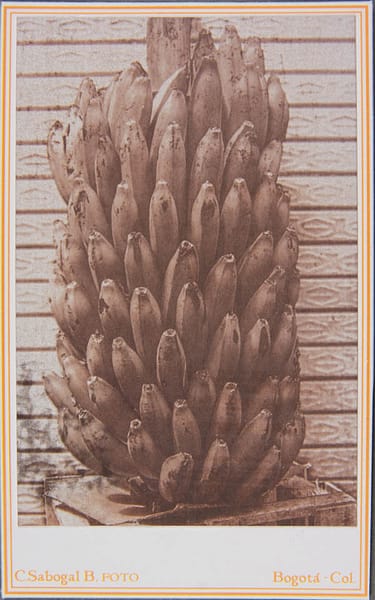 Racimo de plátanos en papel salado